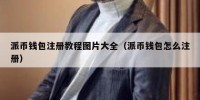 派币钱包注册教程图片大全（派币钱包怎么注册）