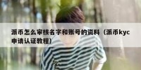 派币怎么审核名字和账号的资料（派币kyc申请认证教程）