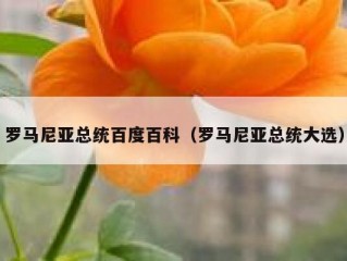 罗马尼亚总统百度百科（罗马尼亚总统大选）