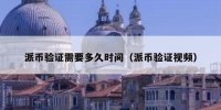 派币验证需要多久时间（派币验证视频）