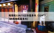 电视机124/72公分是多大（124*73的电视机是多大）