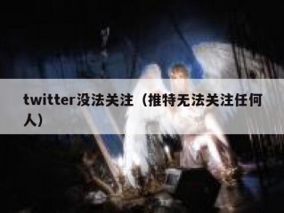 twitter没法关注（推特无法关注任何人）