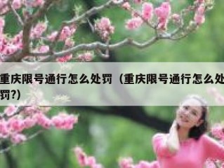 重庆限号通行怎么处罚（重庆限号通行怎么处罚?）