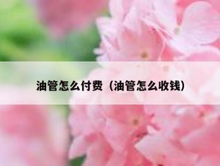 油管怎么付费（油管怎么收钱）