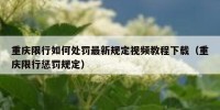 重庆限行如何处罚最新规定视频教程下载（重庆限行惩罚规定）