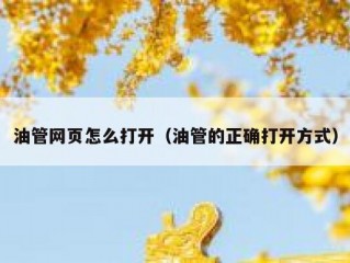 油管网页怎么打开（油管的正确打开方式）