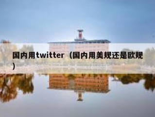 国内用twitter（国内用美规还是欧规）