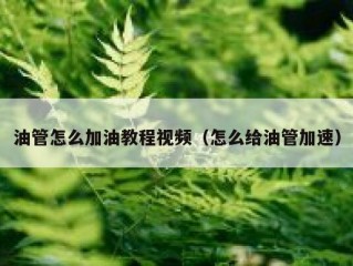 油管怎么加油教程视频（怎么给油管加速）