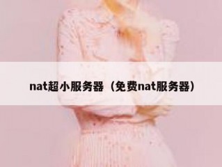 nat超小服务器（免费nat服务器）
