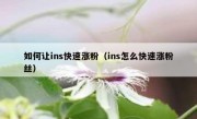 如何让ins快速涨粉（ins怎么快速涨粉丝）