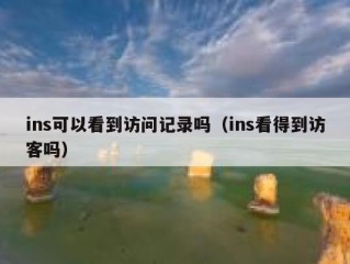 ins可以看到访问记录吗（ins看得到访客吗）