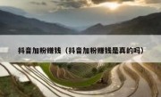 抖音加粉赚钱（抖音加粉赚钱是真的吗）