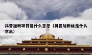 抖音加粉项目是什么意思（抖音加粉丝是什么意思）