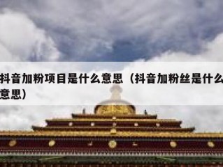 抖音加粉项目是什么意思（抖音加粉丝是什么意思）