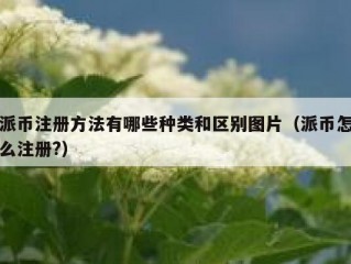 派币注册方法有哪些种类和区别图片（派币怎么注册?）