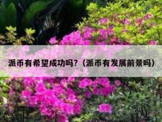 派币有希望成功吗?（派币有发展前景吗）