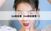 ins粉丝量（ins粉丝量第一）