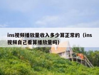 ins视频播放量收入多少算正常的（ins视频自己看算播放量吗）