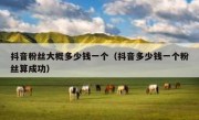 抖音粉丝大概多少钱一个（抖音多少钱一个粉丝算成功）