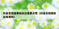 抖音花钱是要粉丝还是要点赞（抖音花钱涨粉丝有用吗）