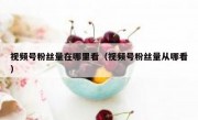 视频号粉丝量在哪里看（视频号粉丝量从哪看）