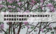 派币真假在中国都不清,只能时间来证明了（派币到底是不是真的）