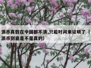 派币真假在中国都不清,只能时间来证明了（派币到底是不是真的）
