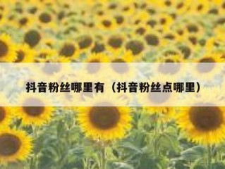 抖音粉丝哪里有（抖音粉丝点哪里）