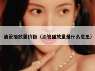 油管播放量价格（油管播放量是什么意思）