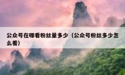 公众号在哪看粉丝量多少（公众号粉丝多少怎么看）