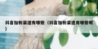 抖音加粉渠道有哪些（抖音加粉渠道有哪些呢）