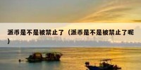 派币是不是被禁止了（派币是不是被禁止了呢）
