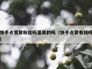 快手点赞算粉丝吗是真的吗（快手点赞有钱吗）