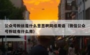 公众号粉丝是什么意思啊网络用语（微信公众号粉丝有什么用）