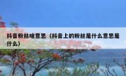 抖音粉丝啥意思（抖音上的粉丝是什么意思是什么）