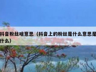 抖音粉丝啥意思（抖音上的粉丝是什么意思是什么）