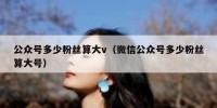 公众号多少粉丝算大v（微信公众号多少粉丝算大号）