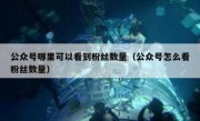 公众号哪里可以看到粉丝数量（公众号怎么看粉丝数量）