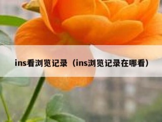ins看浏览记录（ins浏览记录在哪看）