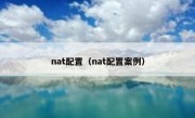 nat配置（nat配置案例）