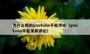为什么我的youtube不能评论（youtube不能发表评论）