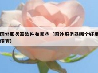 国外服务器软件有哪些（国外服务器哪个好用便宜）