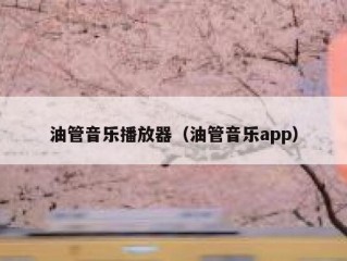 油管音乐播放器（油管音乐app）