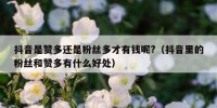 抖音是赞多还是粉丝多才有钱呢?（抖音里的粉丝和赞多有什么好处）