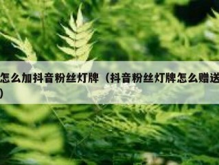 怎么加抖音粉丝灯牌（抖音粉丝灯牌怎么赠送）