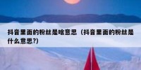 抖音里面的粉丝是啥意思（抖音里面的粉丝是什么意思?）