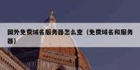 国外免费域名服务器怎么查（免费域名和服务器）