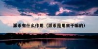 派币有什么作用（派币是用来干嘛的）
