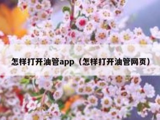 怎样打开油管app（怎样打开油管网页）