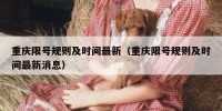 重庆限号规则及时间最新（重庆限号规则及时间最新消息）